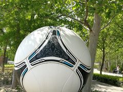 -大兴滨河森林公园