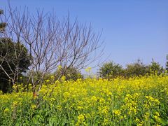 -厦门园林博览苑