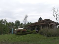 -桤木河湿地公园