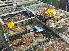 -大京园海鲜烧烤(东城路店)