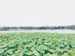 -潜龙渠公园
