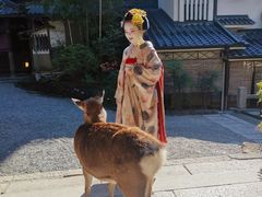 -料亭菊水楼