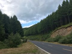 -塞罕坝国家级自然保护区