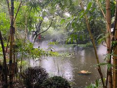 -同庆堂(解放北路店)