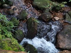 -海南热带雨林国家公园吊罗山景区