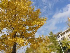 -浙江农林大学(东湖校区)