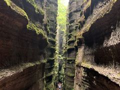 -梭布垭石林景区