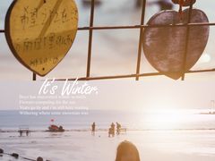 -北海金海湾红树林生态旅游区