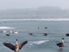 -沈阳市东陵公园