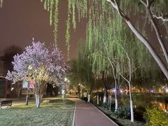 -南翠屏公园