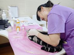 -北京观赏动物医院·24小时大型综合·猫专科·异宠专科