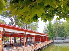 -向外鱼乐·土菜·虹鳟鱼