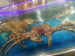 -盒马渔市(平高企业集团·平高广场店)