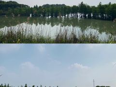 -南湖湿地公园