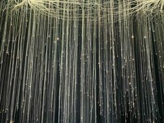 -白梧桐·团建聚会·百人轰趴馆(留仙洞店)