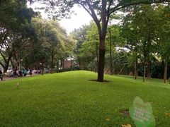 -晓港公园