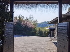 -天目湖涵田半山温泉