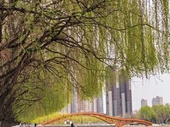 -长白岛森林公园