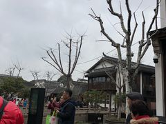 -南翔饭店