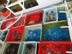 -南蚝小贝海鲜特色餐厅(南澳岛店)