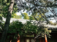 -潭柘寺景区