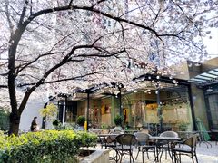 -玛格萝妮比萨屋(四平店)