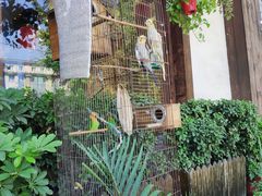 -玉桥餐厅(天坛店)