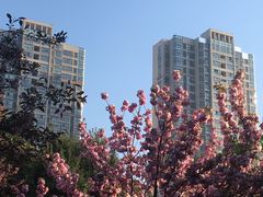 -荆川公园