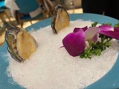 -青瓷火锅料理(西单大悦城店)