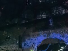 -广州长隆国际大马戏