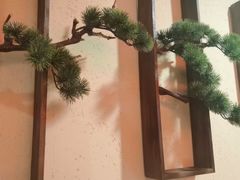 -鸽子窝(青塔店)