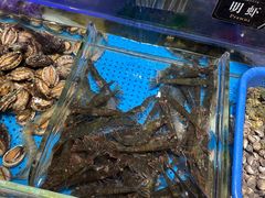 -加餐海鲜自助(宝龙一城店)