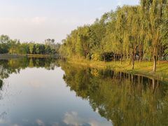 -东郊湿地公园