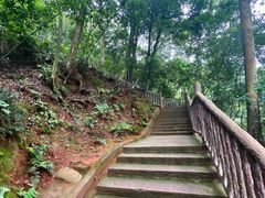 -乐山大佛风景名胜区乌尤寺南门-售票点