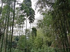-龙头寺公园