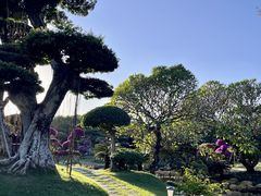 -南宁南湖公园
