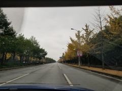 -胜华驾校·小猫学车(银都店)