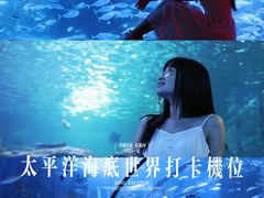 -太平洋海底世界