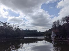 -深圳仙湖植物园