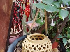-小洲村