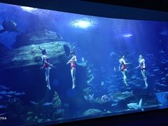 -多彩贵州城极地海洋世界