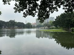 -荔湾湖公园
