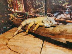 -多彩贵州城极地海洋世界