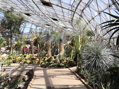 -北京植物园-展览温室