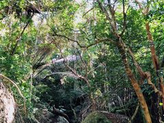 -七仙岭温泉国家森林公园