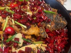 -老板恋上鱼(恒隆广场店)