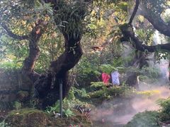 -Chom Cafe and Restaurant