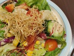 -黑松白鹿(金融街店)