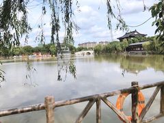 -南汇桃花村