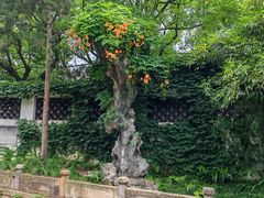 -惠山古镇·寄畅园